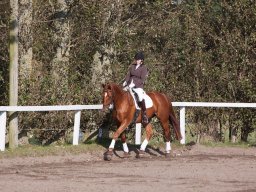 IMG_7778_web